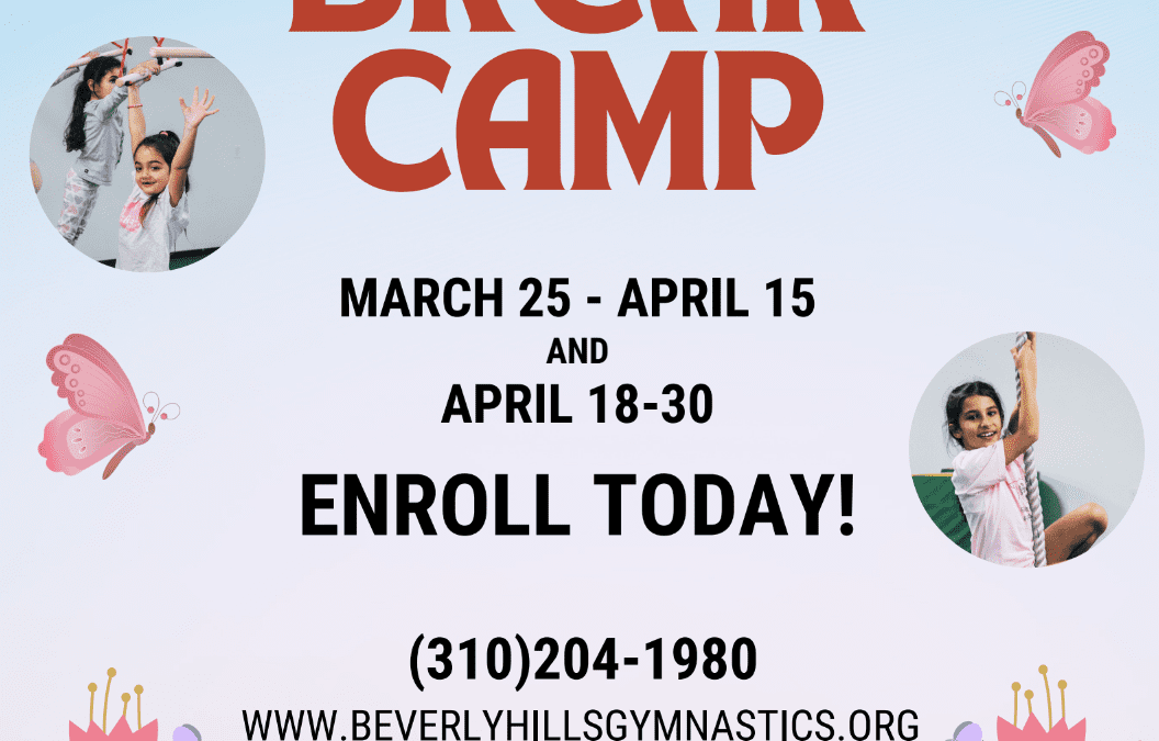 Veterans Day Camp 2024