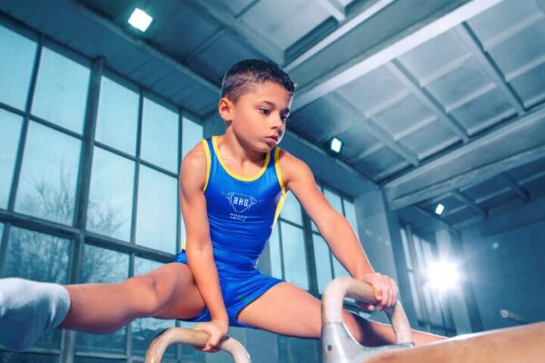 Gymnastic Gymnasium Sherman Oaks