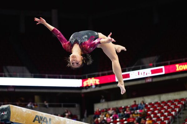 Gymnastics for Adults Near Me Culver City