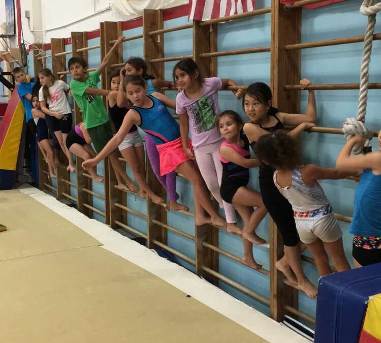 Open Gymnastics in West Hollywood Makes Room for Fun and Movement